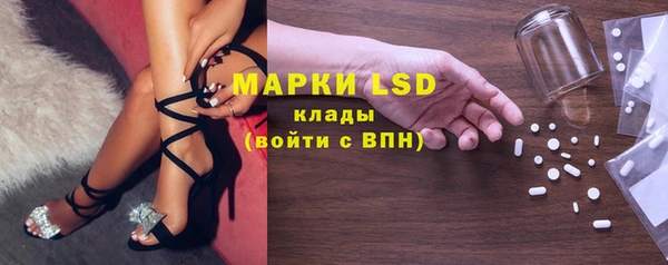 прущие грибы Богородск