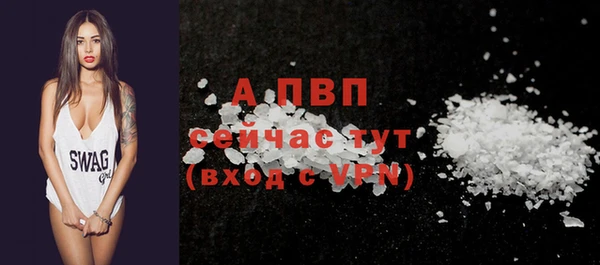 spice Богданович