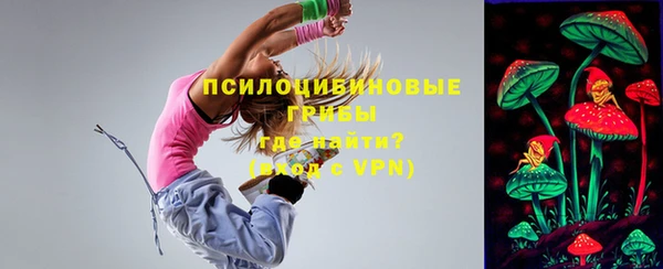 spice Богданович