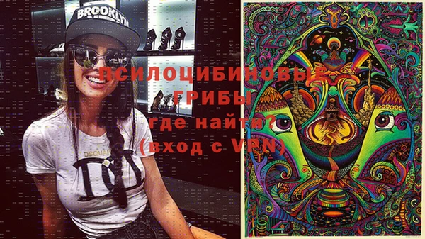 бошки Богородицк