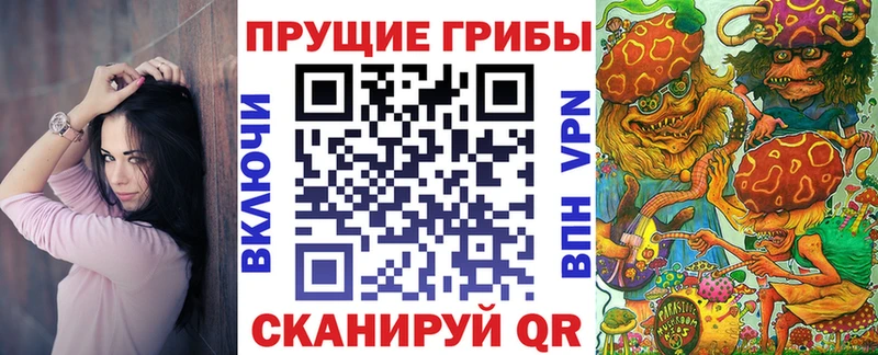 kraken как войти  Егорьевск  Галлюциногенные грибы мицелий 